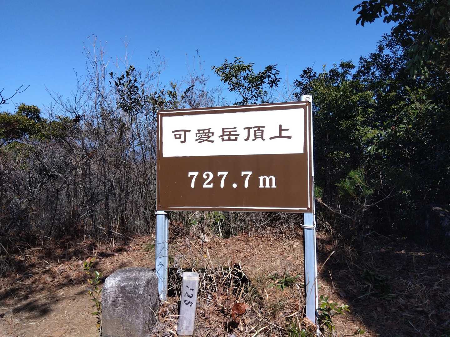 山頂に着きました🤠