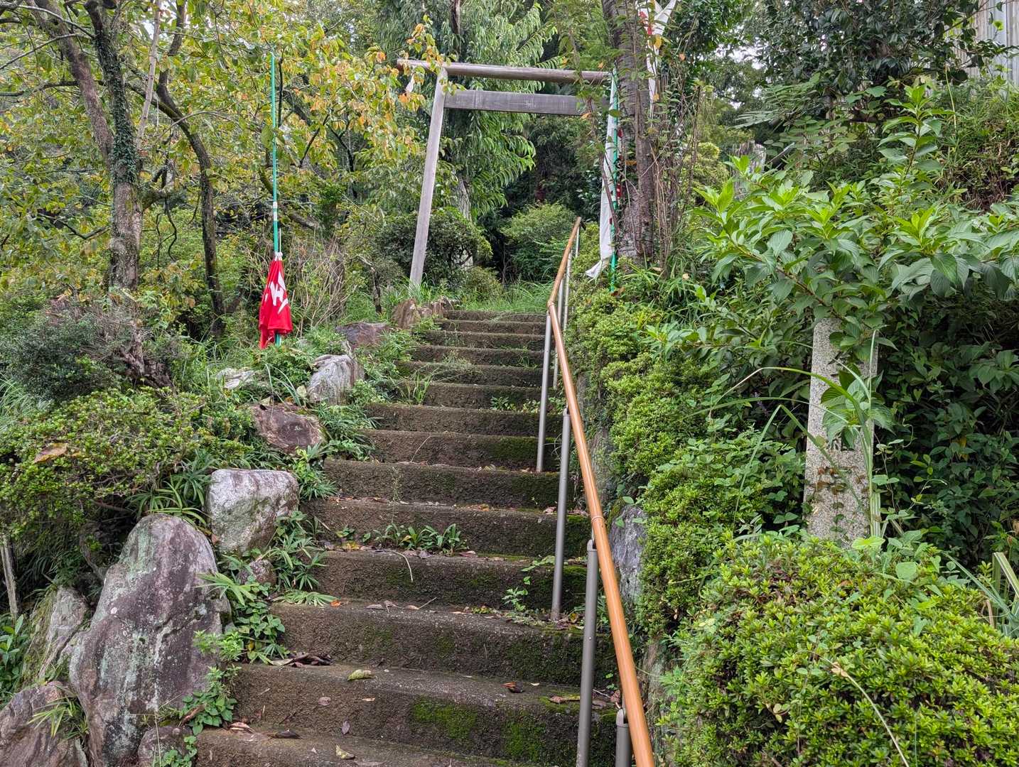 さあ登りましょう