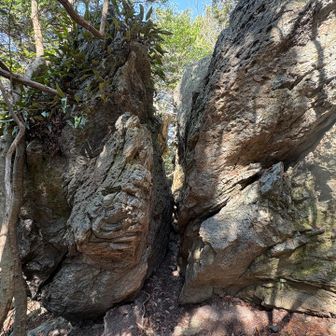 なんとかクリア出来ました🙌
BMI ・・・