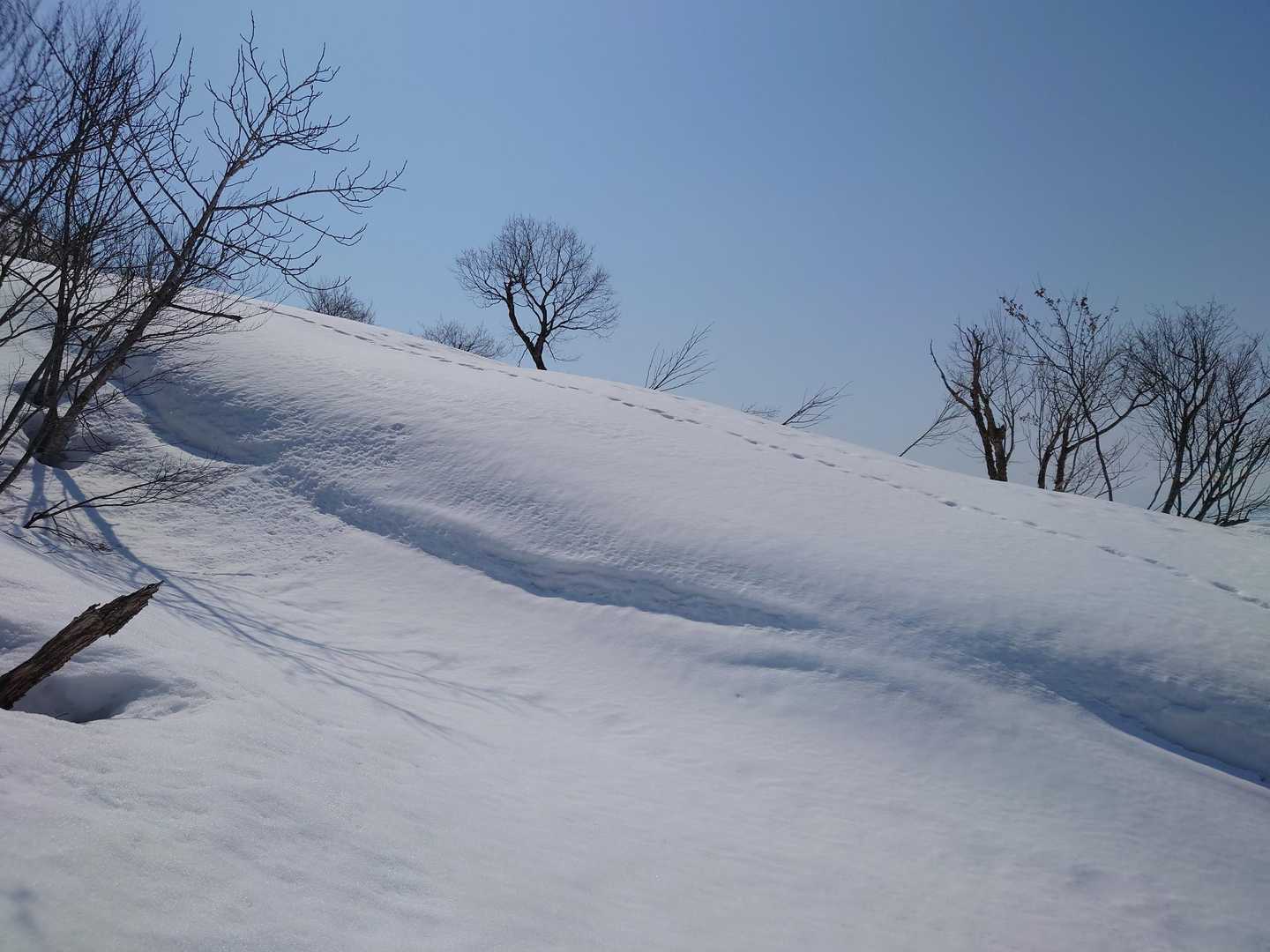 大力山 往復コースの写真