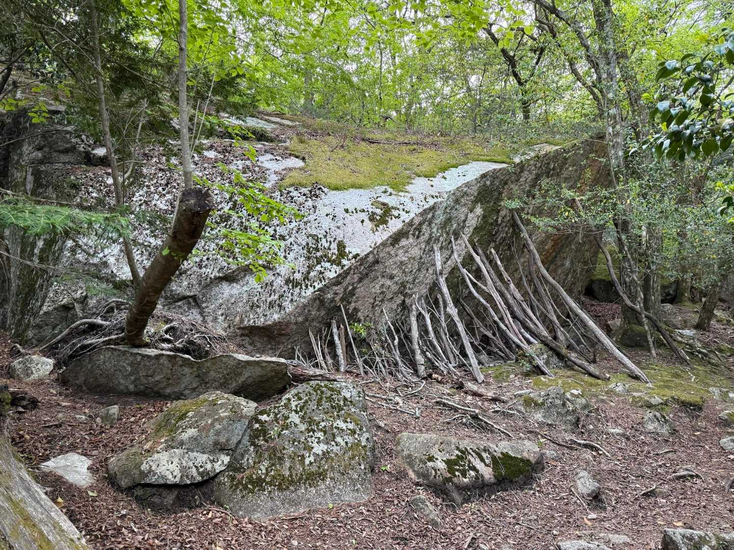 鬼の目山登山口-鬼の目山-鉾岳 往復コースの写真