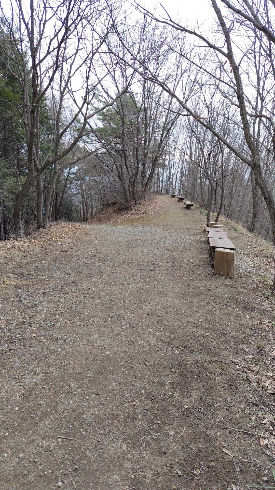 戸神山 往復コースの写真