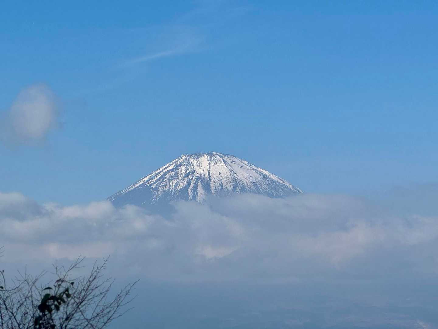 金時山登山口-丸鉢山-金時山 往復コースの写真