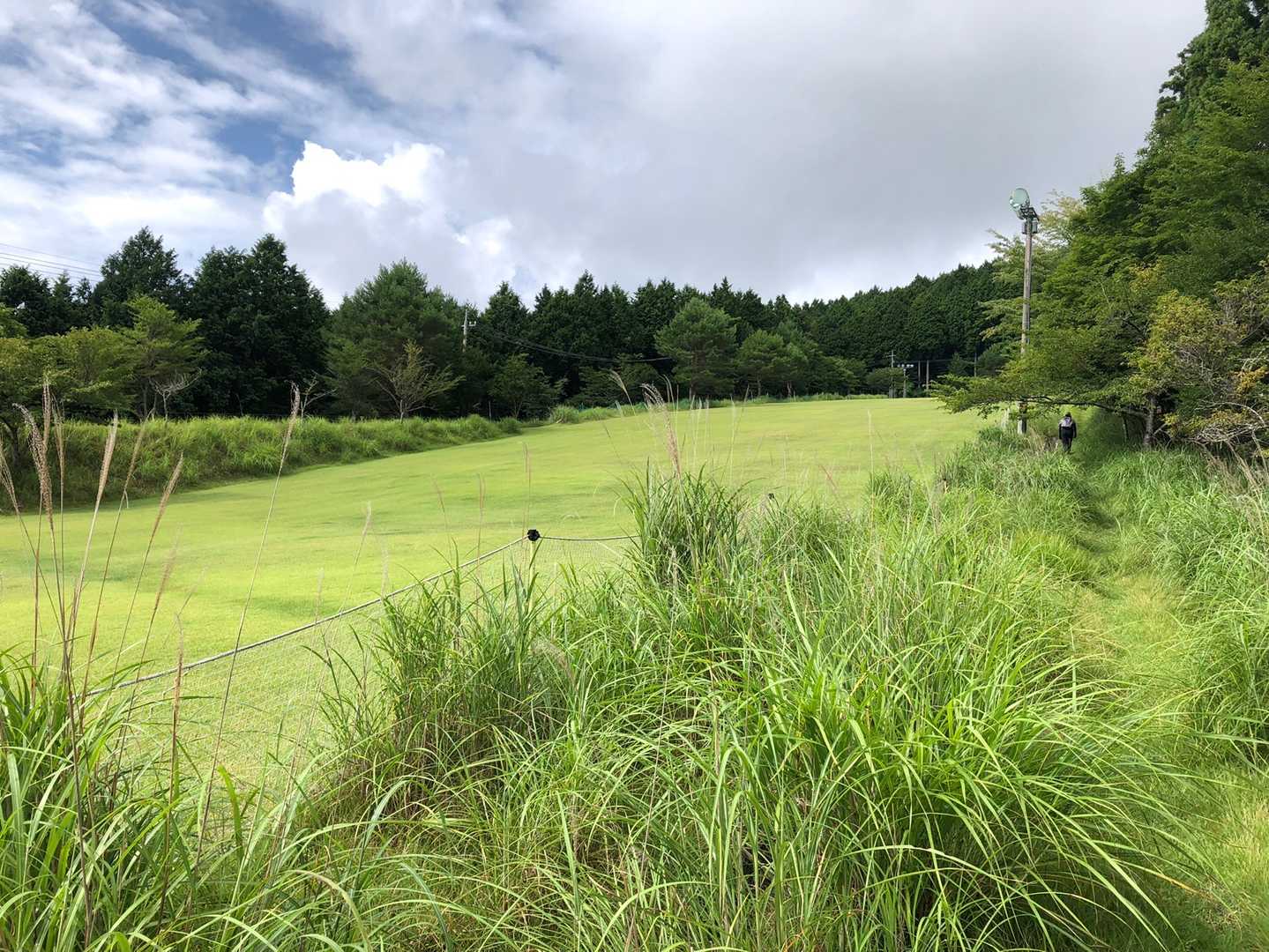 赤帽子遊歩道入口-中尾山 往復コースの写真