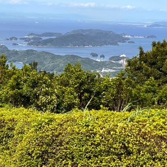 小浜半島は見えるが・・・