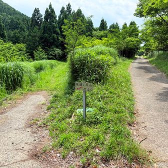左に進み登山開始