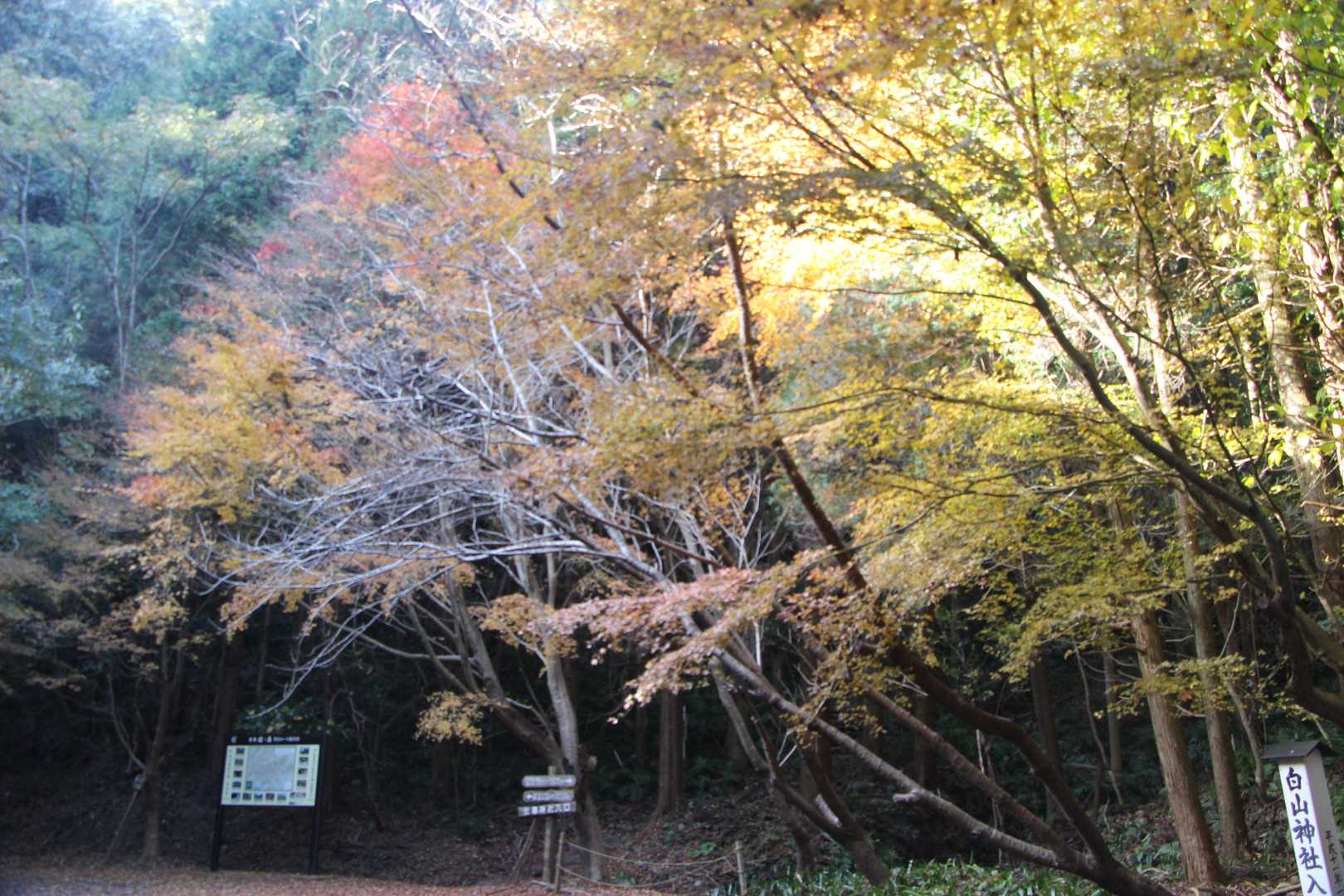 登山口