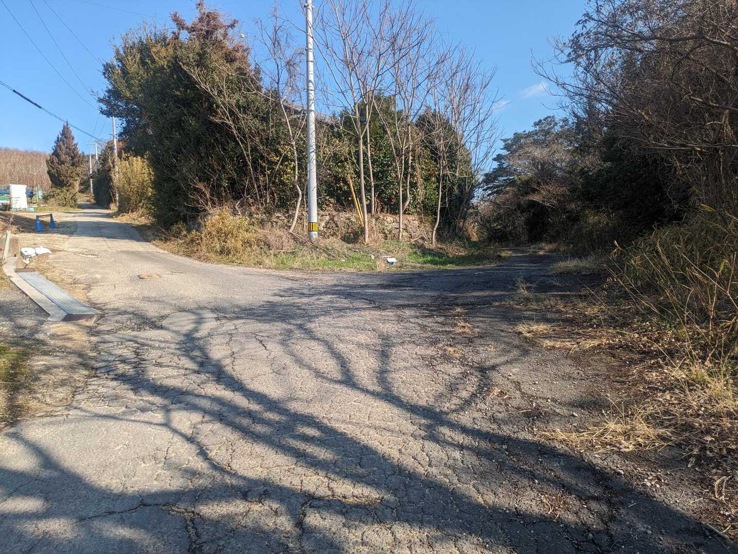 分岐、左に行きます👈