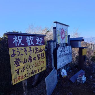 スタート遅いのでガシガシ登る
関西百名山 64座目 子ノ泊山 とうちょー 🙌
今年の目標 70座クリアまで残り6座！
紀宝町からの温かいメッセージ♪
令和二年の庚子（かのえね）に新調された標識
12年後にまたお会いしましょうとのこと
その時も元気に登っていたいなー