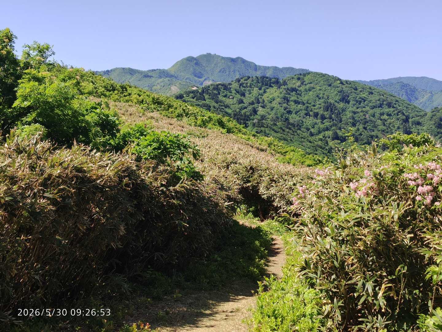 マトネから金北山