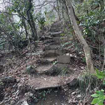 登山道に入るとすぐ写真のようになります