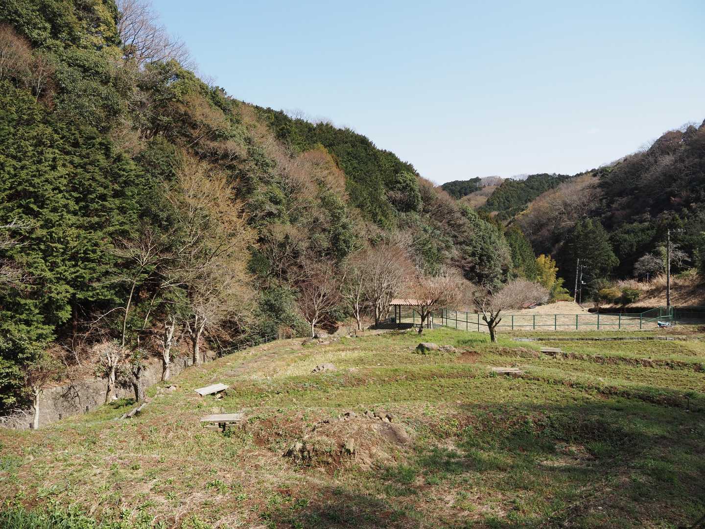 里へ下りてきました。