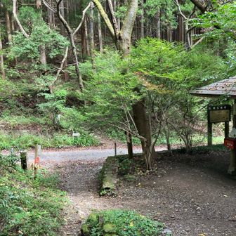 粥新田峠に戻りました。