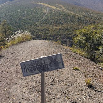 ここはもう一つのピークの西峰。
浅間山の真正面が眺められて
こちらの方が良い景色✨