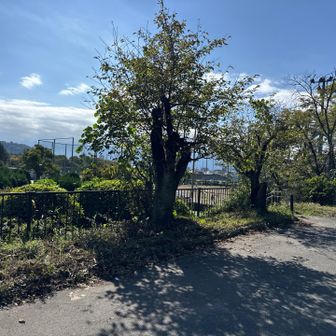 あっという間に下山　「風」のデジタルバッチをゲットしました♪