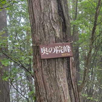 奥の院の山頂を踏んで