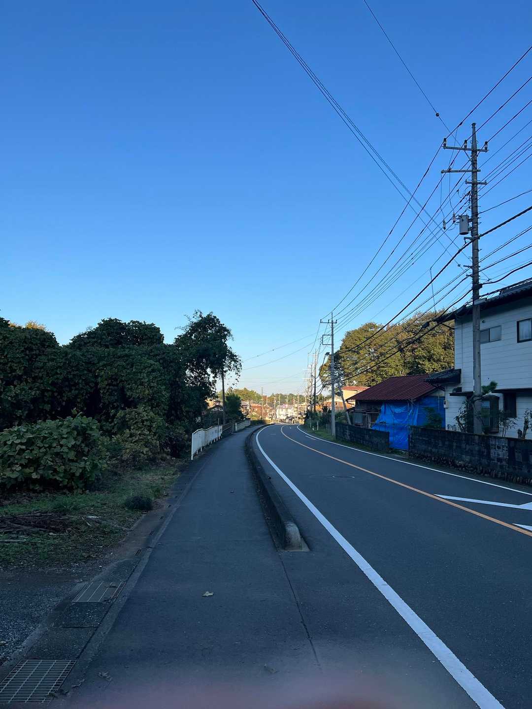 道に出た