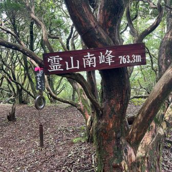 霊山南峰山頂
絶賛森の中♬