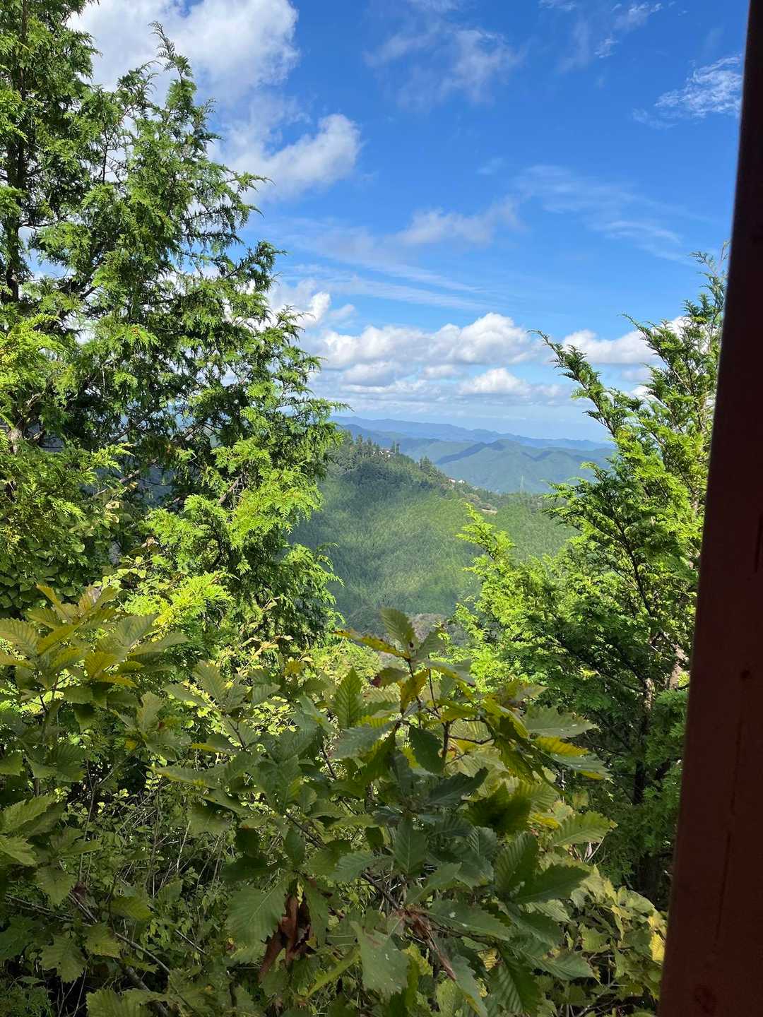大岳鍾乳洞入口バス停-大名子ノ頭-高岩山-上高岩山-御岳山 縦走コースの写真