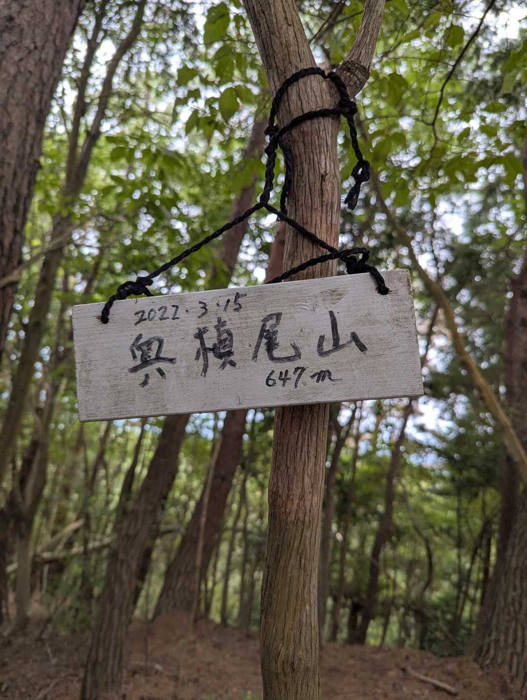 久々の奥槇尾山山頂