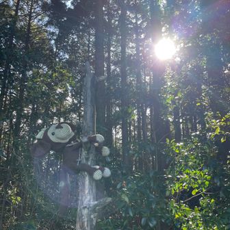 えっと、、
おさるのジョージではなく、誰だっけか