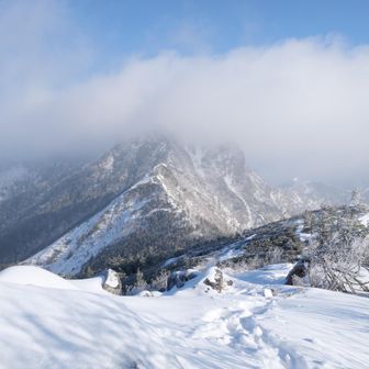 権現岳山頂が見えそう