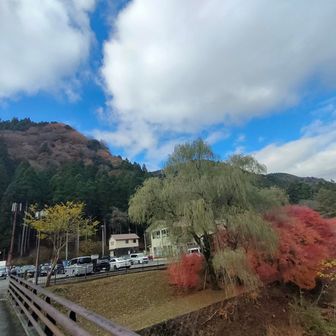 帰ってきました！