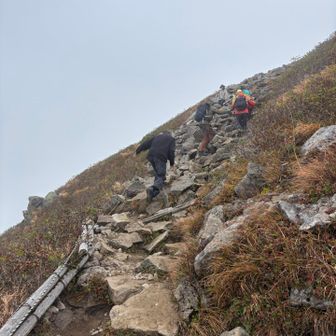 岩が続く〜💦