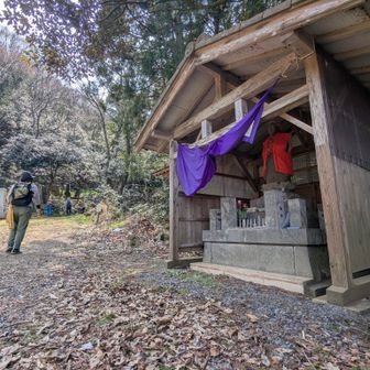 古墳コースで登り直し⤴️