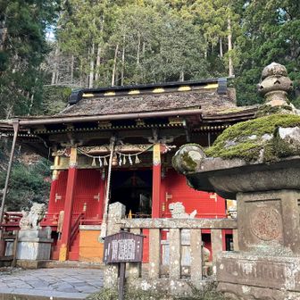 東照宮にお参り