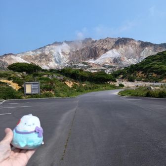 期待高まる✨「高尾山よりちょこっと高いだけなのに？」