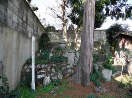 16. 葛城の道の写真