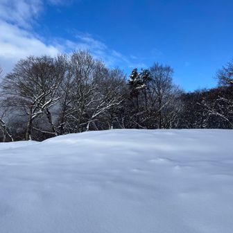 積雪は30〜40cm