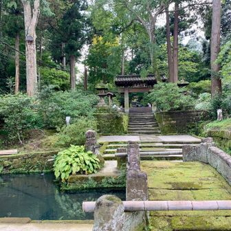 高校の学区内なので鎌倉を歩いているとこの辺りに住んでいた同級生の事や部活の仲間の事を思い出します。今日は突然、部活の後輩の男の子が鎌倉消防に入った事を思い出した🚑鎌倉っぽい名前の子だった。ここ数年飲み会をしてないなぁ…