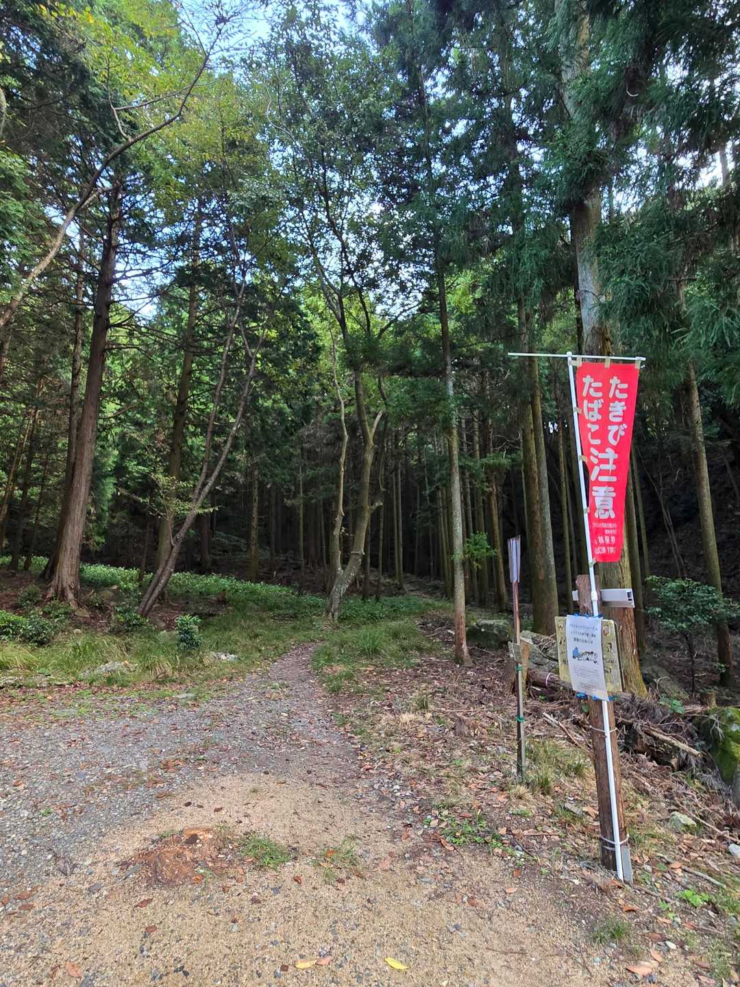 最短コース
登山口💪