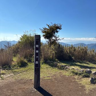 ここは数人の方がのんびり休んでました！