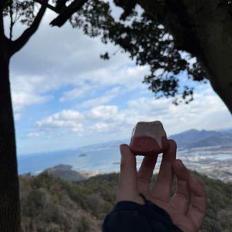 かわいいおやつもらった