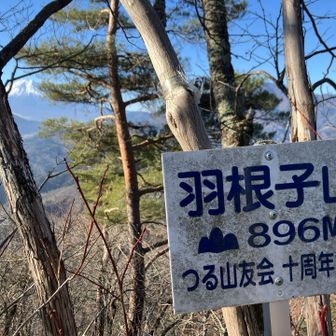 羽根子山　山頂