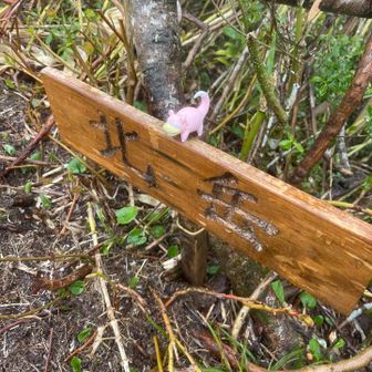 経ヶ岳・法恩寺山 なんとかここまでたどり着いた。