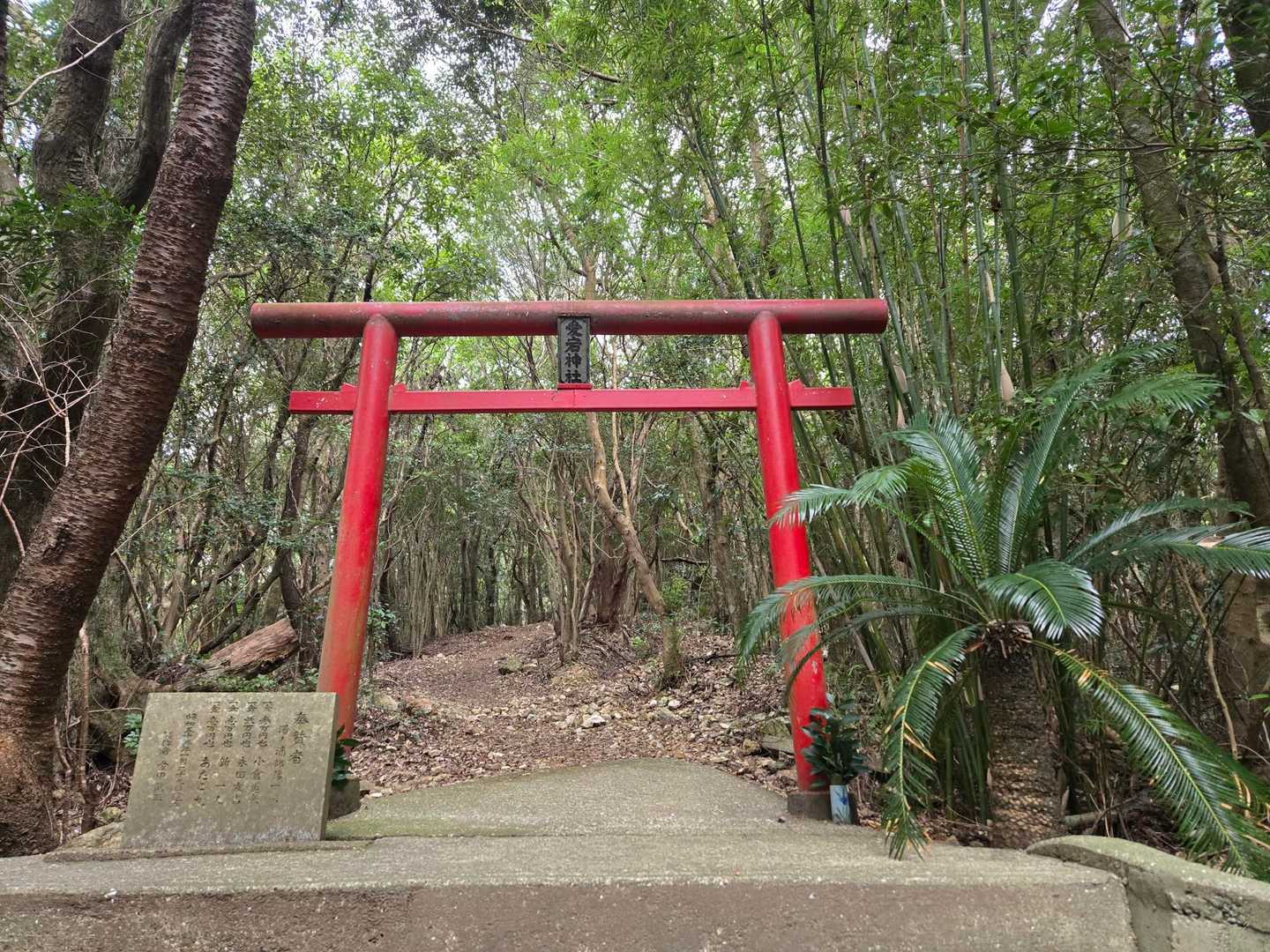 入場