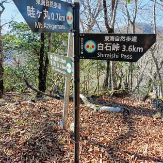 モロクボ沢ノ頭
畦ヶ丸方面との分岐
何とか目標の昼前に着いた
モロクボ沢はよく行く沢、馴染みの場所に