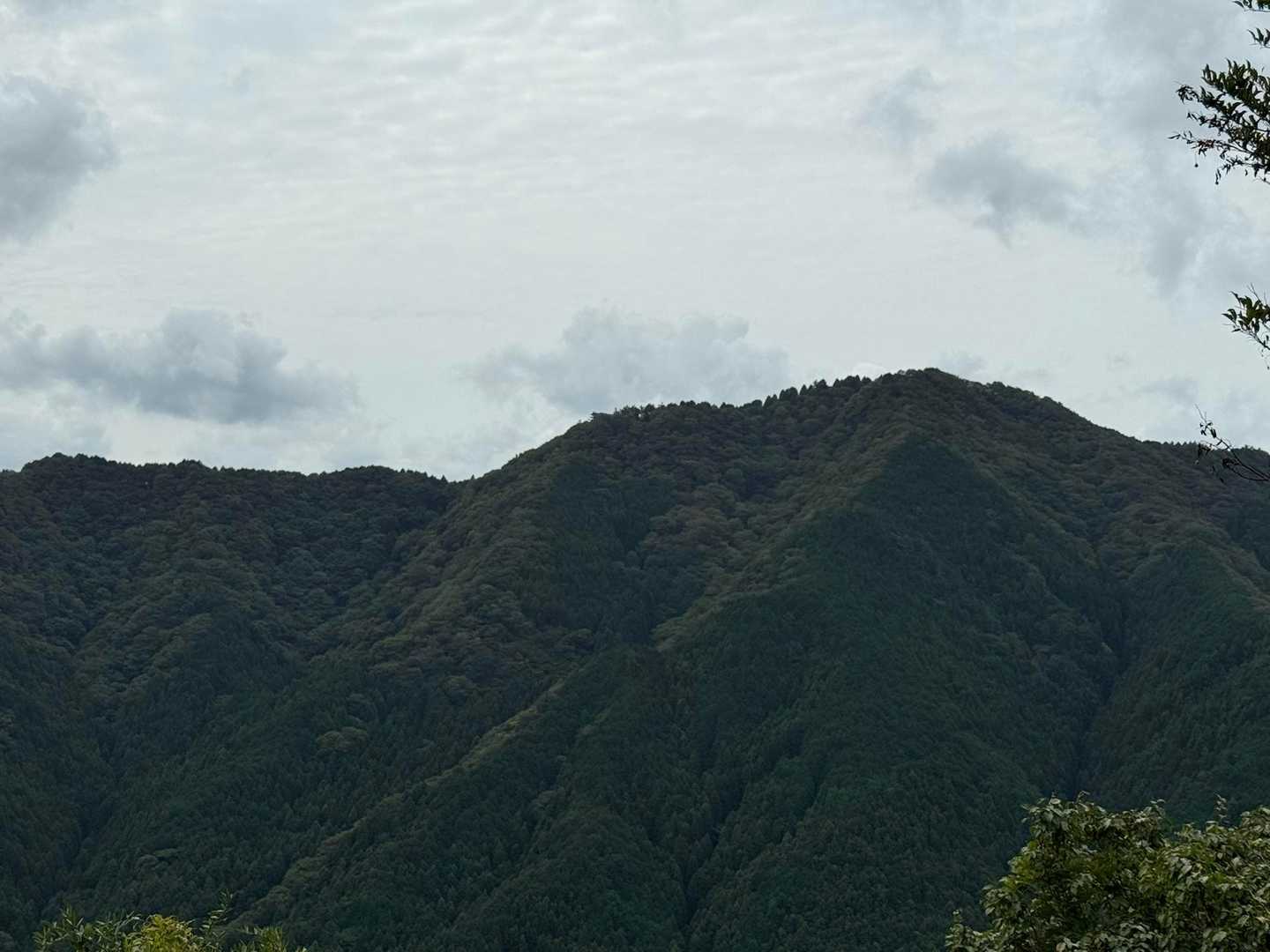 下山にみっけた地味なミッキー
深緑色になってた🤣
