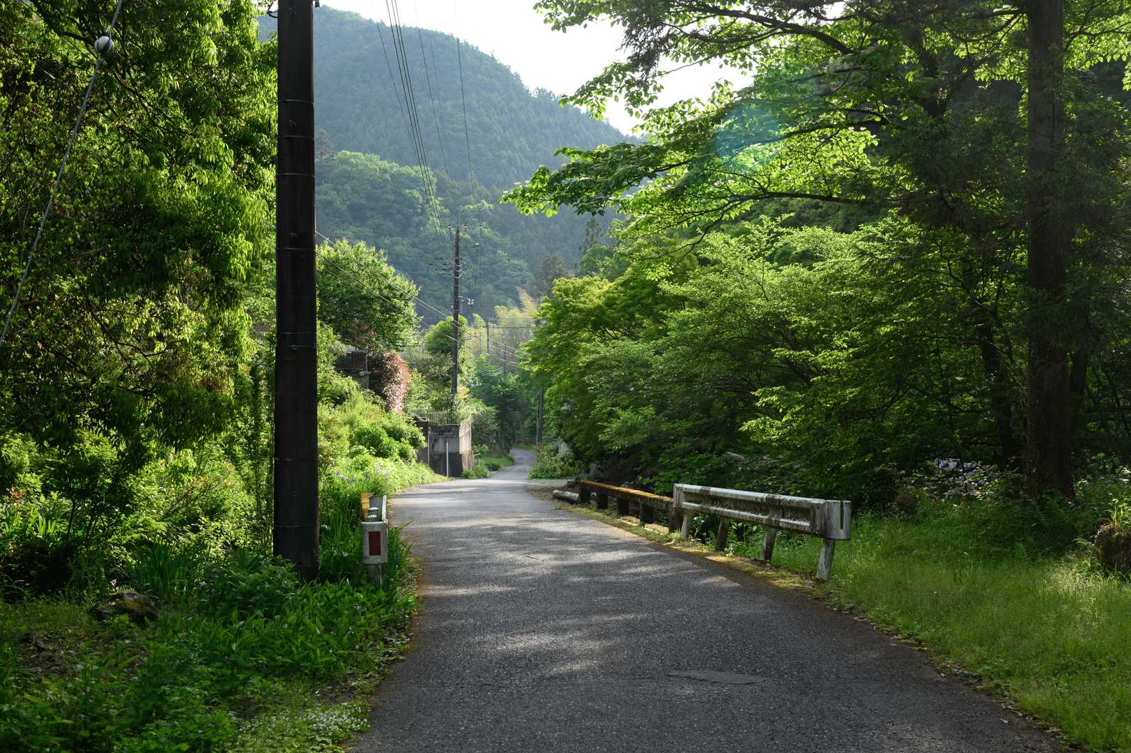 静かな道だなぁ