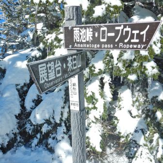 縞枯山
この登りが地味にしんどかった💦
