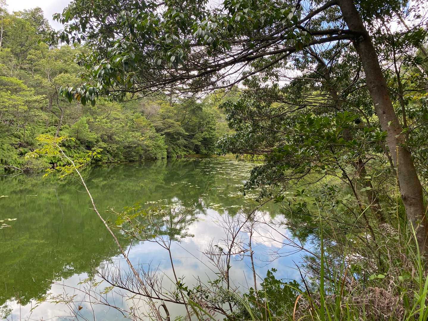 アルプス登山口バス停-笹間ヶ岳 周回コースの写真