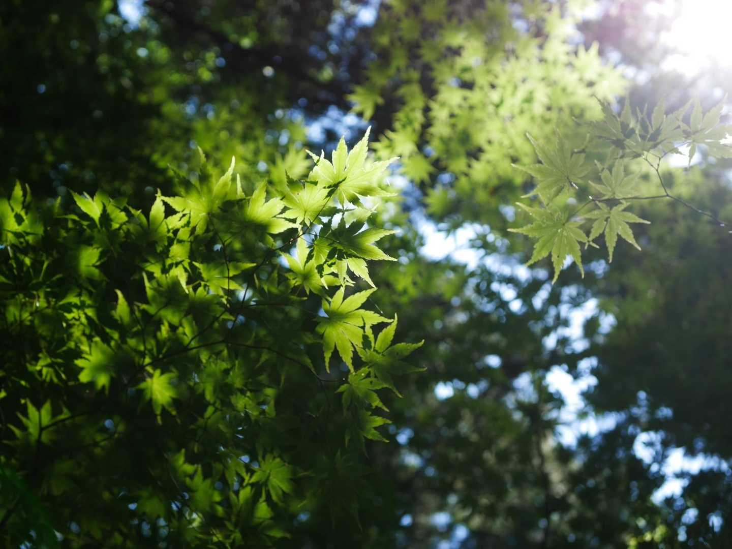 🌿キレイ🌿