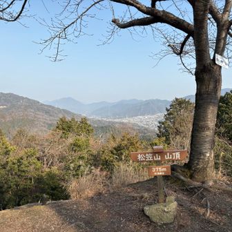 誰もおらんなー