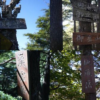 御岳山、駒掛山、渓雲岳、地蔵岳、薬師岳、白山を通過
ここまでは樹林帯で涼しい(18℃くらい)し非常に登りやすい😄