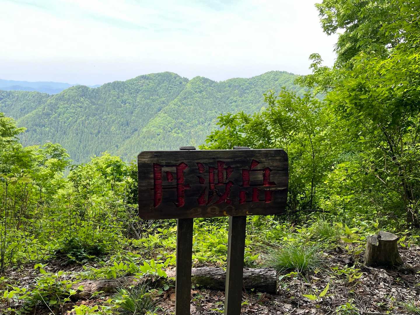 大正寺登山口-榎坂峠-丹波岳 往復コースの写真