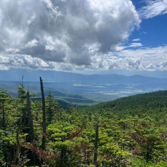 縞枯山キツかった…💦